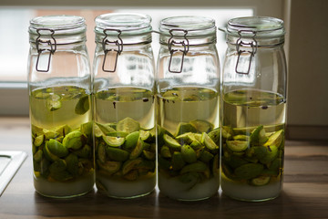 nocino selber machen