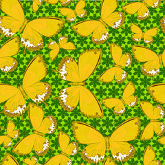 Fototapeta na wymiar Yellow butterflies on a green background. Seamless pattern of yellow butterflies on a green background