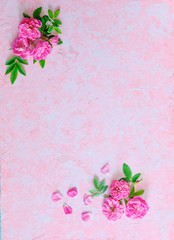 Border of pink roses on a pink old ructic concrete background, pastel, top view, copy space