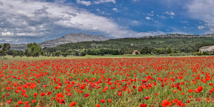 Aix-en-Provence - montagne Sainte-Victoire