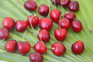 Close up of pile of ripe cherries with stalks and leaves. Large collection of fresh red cherries. Ripe cherries background.