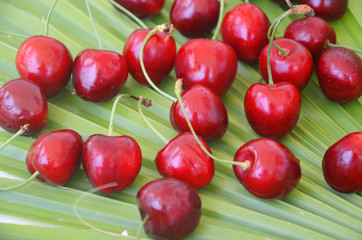 Close up of pile of ripe cherries with stalks and leaves. Large collection of fresh red cherries. Ripe cherries background.