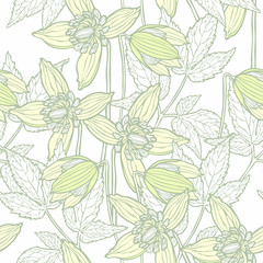 Floral seamless pattern light background