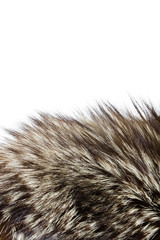 Fur texture. Silver fox fur.