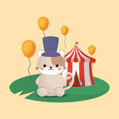 cute cat and circus tent over orange background, colorful design. vector illustration