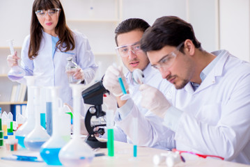 Fototapeta premium Team of chemists working in the lab
