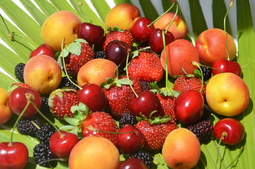Berries overhead closeup colorful assorted mix of strawberry, blueberry, raspberry, blackberry, red currant in studio on dark background