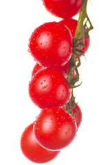 Pomidory na białym tle