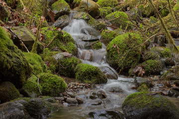 Fototapeta premium mini falls 