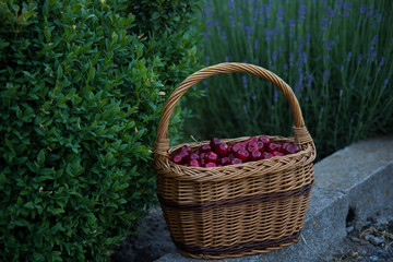 Fototapeta na wymiar cherries in the basket