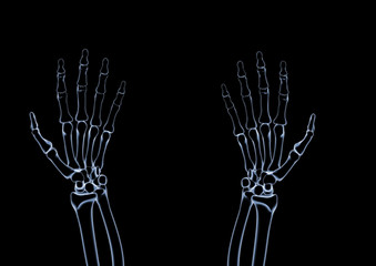 X-RAY skeleton 3d illustration with copy space