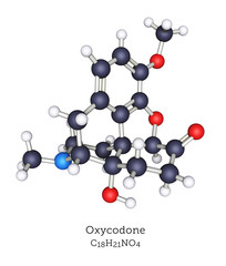Ball-and-Stick Molecular Model of Oxycodone