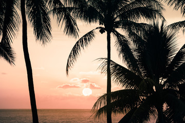 Tropical sunset background. 