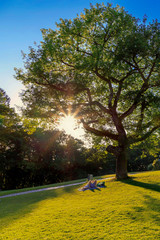 A couple lies under a tree in the evening sun on the Neroberg in Wiesbaden and relaxes