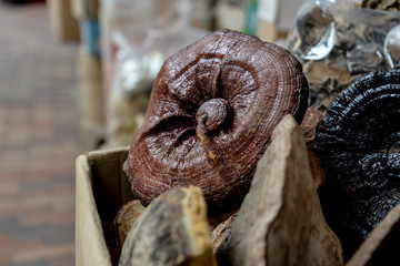 Dried Mushrooms at Hong Kong Market