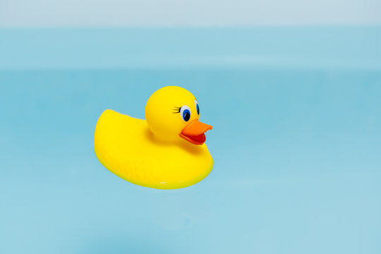 yellow rubber duck in blue water of bathtub