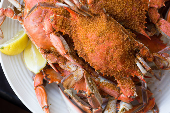 Steamed Blue Crabs