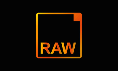camera raw format icon vector in gold style design