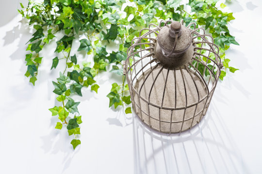 342 Best 鳥かご Images Stock Photos Vectors Adobe Stock 342 Best 鳥かご Images Stock Photos Vectors Adobe Stock