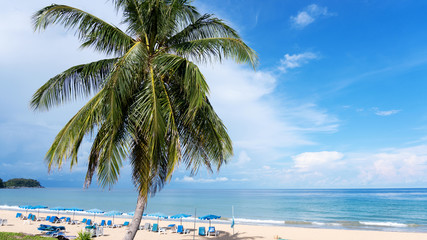 Naklejka na ściany i meble Sandy tropical beach with coconut palm tree frame beautiful beach of andaman sea scenery background in phuket thailand,concept summer holiday background.