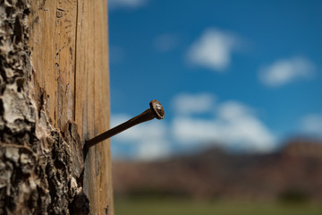 Nail in a Pole