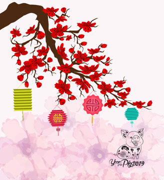 Chinese new year with pig. Cherry blossom background
