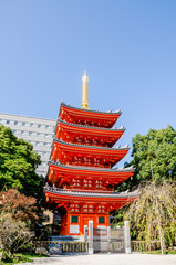 Fototapeta premium The pagoda in Tocho-ji temple or Fukuoka Giant Buddha temple in Fukuoka, Japan