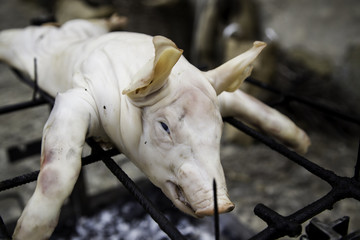 Grilled suckling pig