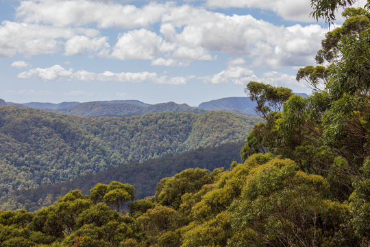 Springbrook Hinterland Gold Coast Australia Hike