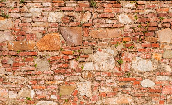 Old wall with bricks, stone blocks and plants as background © crisfotolux