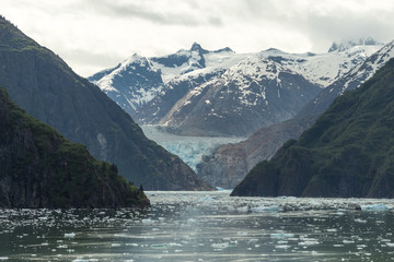 Tracy Arm Fjord, Alaska, Sawyer Glacier
