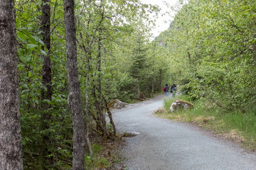 Trail at Mendenhall Glacier