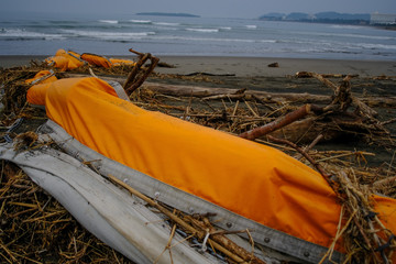 台風通過後に青島海岸に漂着した大量のゴミ62