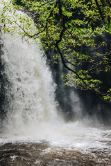 Killen Falls Byron Bay Waterfalls