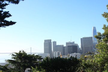 View of Financial District from Telegraph Hill in San Francisco