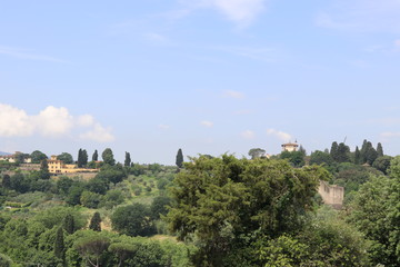 Fototapeta na wymiar Hillside in Florence