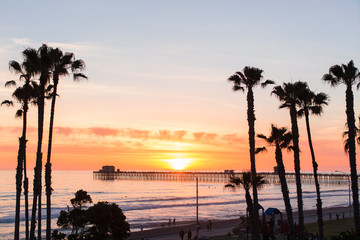 Palm Trees Beach Waves and Surf in Oceanside San Diego California - obrazy, fototapety, plakaty