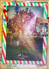 Gordijnen Vintage Italiaanse post luchtpost ansichtkaart met Magnolia boom © Rosario Rizzo
