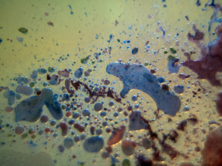 chemical experiment with paints