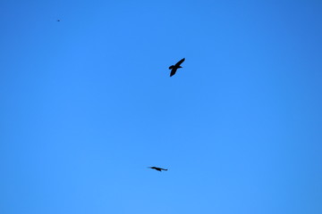 Photos taken in the great outdoors 