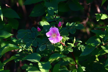 Photos taken in the great outdoors 