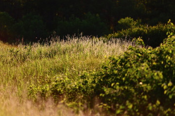 Photos taken in the great outdoors 