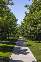 Symmetrical concrete path in Utah town