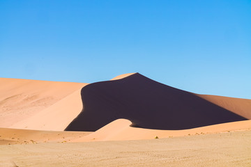 Fototapeta na wymiar Dunes of Hidden Vlei, Sossusvlei Namibia