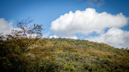 Fototapeta premium Vila Capao Palmeiras Bahia Brazil 08/14/2015, sunny day on the mountain