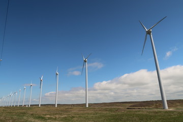 風力発電