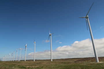 風力発電
