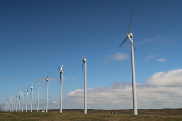風力発電