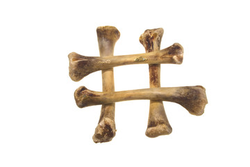 bones isolated on white background