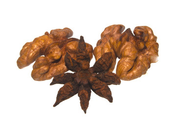 walnut isolated on white background